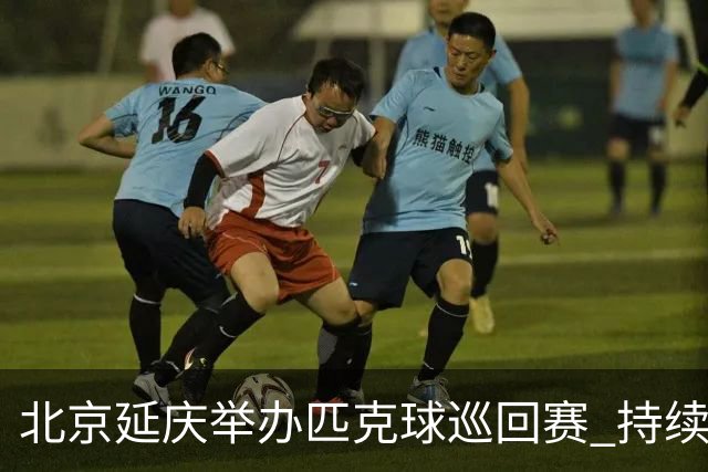 北京延庆举办匹克球巡回赛 持续擦亮户外运动城市名片