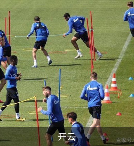 开云简介