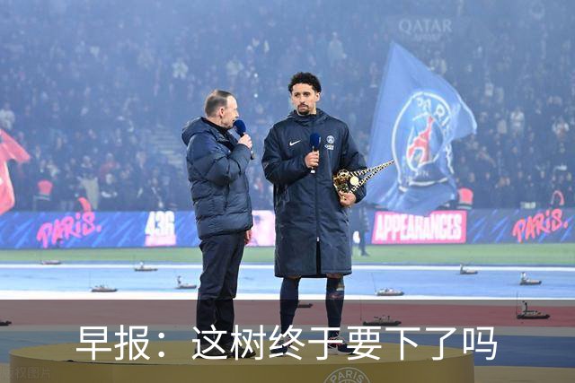 早报：这树终于要下了吗