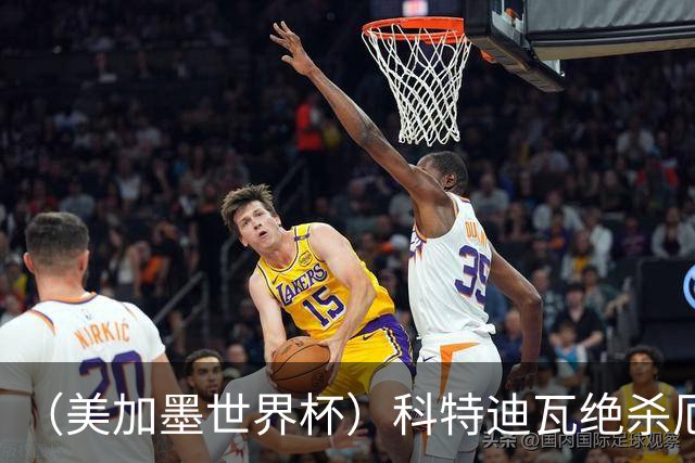 （美加墨世界杯）科特迪瓦绝杀厄瓜多尔 瑞典5:1大胜突尼斯